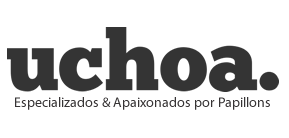 CANIL UCHOA PAPILLON