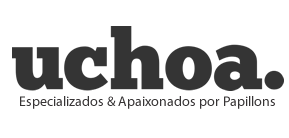 CANIL UCHOA PAPILLON